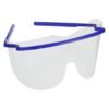 TMG Disposable Safety Glasses ( eye Shield ) Dark Blue Frame- 10pcs / Bag