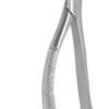 Dental Extraction Forcep UPPER TERIORS PREMOLARS, FX150