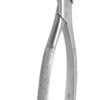Osung Adult Extraction Forcep, FXX22