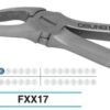 Adult Extraction Forcep, FXX17