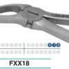 Adult Extraction Forcep, FXX18