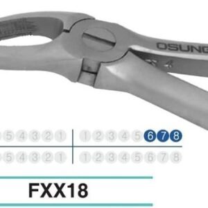 Adult Extraction Forcep, FXX18