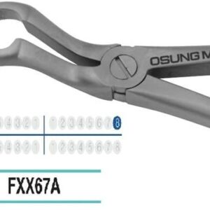 Adult Extraction Forcep, FXX67A