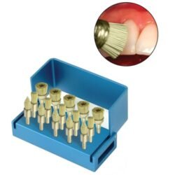 PacDent GloBrush Polishing Brush Combo Kit: 5 x polishing cups, 5 x polishing flames and 5 x flat brushes in an aluminum bur block 
