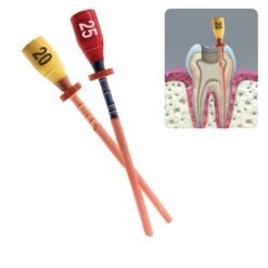 Pacdent Pac-Taper GPC Obturator, Gutter Percha Carrier, 5 x #A1 GPC Obturators + 1 x #20 verifier