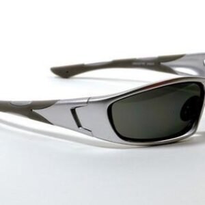 FB-Eye Gun Metal Frame/Black Tips/ Smoke Lenses