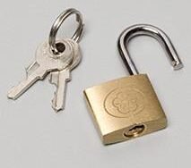Palmero Healthcare Padlock for Locking Canister Holder