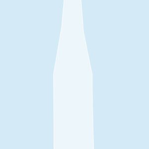 Plasdent Custom Camera Sleeves- Custom Design for Accurate View- For IMAGIN, Hot Rod (500pcs/box)