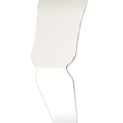 Plasdent Occlusal, Buccal & Lingual Mirrors (One Sided Mirror Surface) - Adult Occlusal/Lingual  (3 1/10”x 7 1/10”x 1 2/5”)