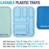 Premium Plus Autoclavable Plastic Tray (1 pc) - Standard B Size, Divided, COLOR MAY VARY