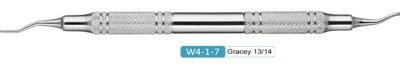 Woodpecker Gracey Curette 13/14