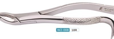 Woodpecker Extracting Forcep 18R