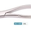 Woodpecker Extracting Forcep 18L