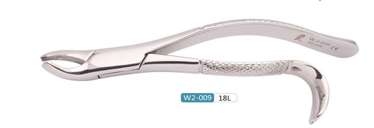 Woodpecker Extracting Forcep 18L