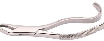 Woodpecker Extracting Forcep 15