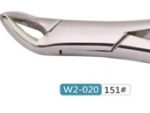Woodpecker Extracting Forcep 151 (adult)