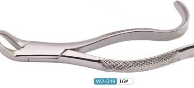 Woodpecker Extracting Forcep 16