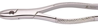 Woodpecker Extracting Forcep 1