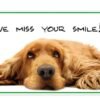 Sherman Dental DOG WE MISS YOUR SMILE 4-UP