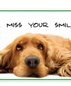 Sherman Dental DOG WE MISS YOUR SMILE 4-UP