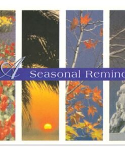 Sherman Dental 4 SEASONS POSTCARD - SINGLE IMAGE