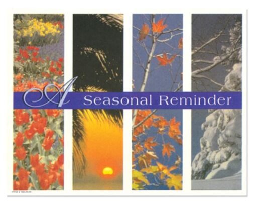 Sherman Dental 4 SEASONS POSTCARD - SINGLE IMAGE