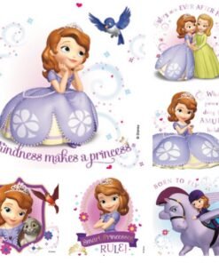 Sherman Dental SOFIA THE FIRST STICKERS