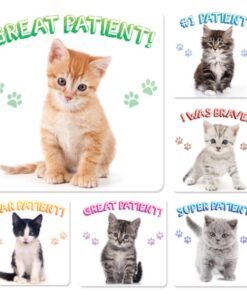 Sherman Dental KITTEN PATIENT STICKERS (100)