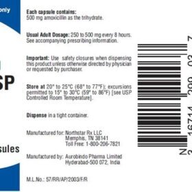 Northstar Amoxicillin Capsules USP 500mg, 100 Capsules